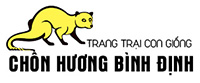 TRANG TRẠI KIỀU DIỄM